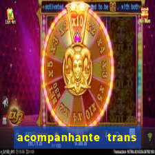 acompanhante trans de santos